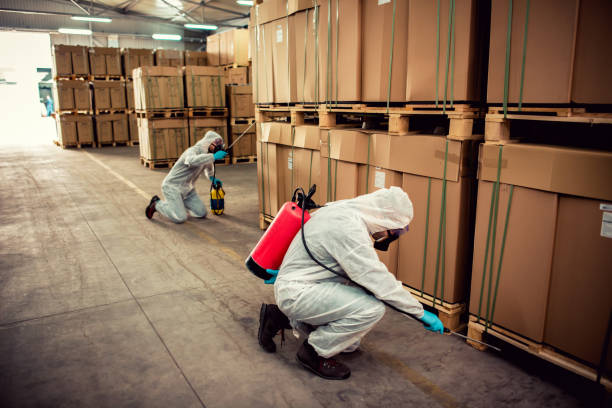 Best Pest Control Near Me  in Gardner, MA