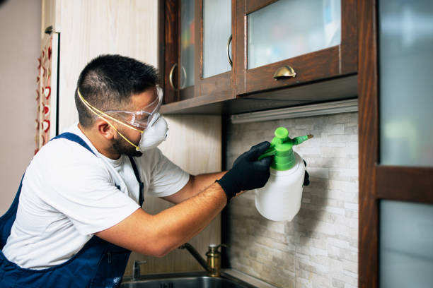 Best Pest Control Near Me  in Gardner, MA