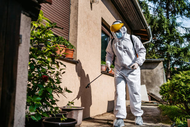 Best Wildlife Control Services  in Gardner, MA