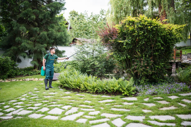 Best Ant Control Services  in Gardner, MA