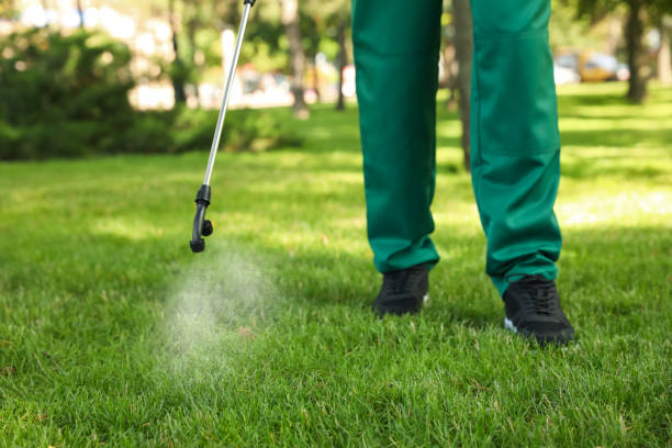 Wildlife Control Services in Gardner, MA