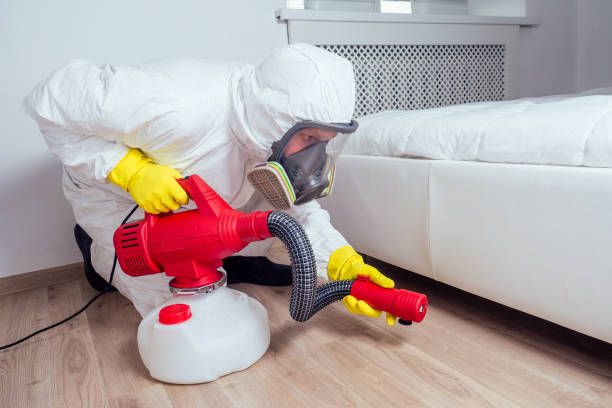 Best Pest Control Near Me in Gardner, MA