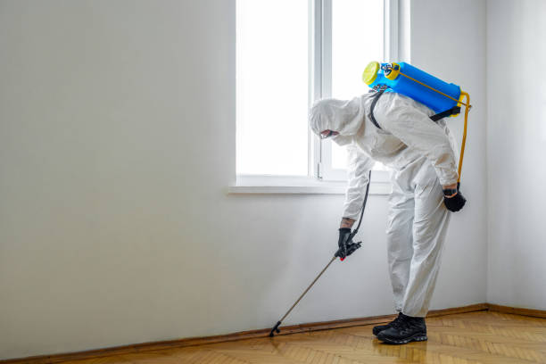 Best Wildlife Control Services  in Gardner, MA