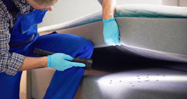 Best Affordable Pest Control Services  in Gardner, MA