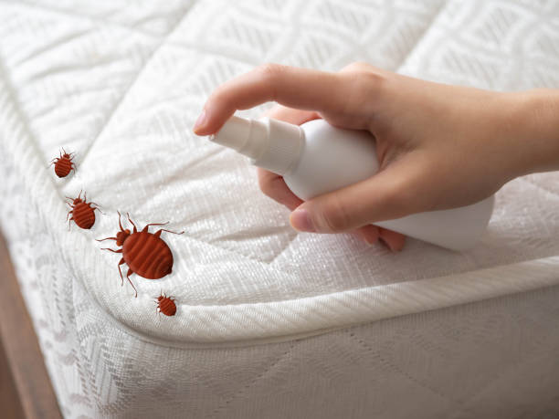 Best Cockroach Control Services  in Gardner, MA