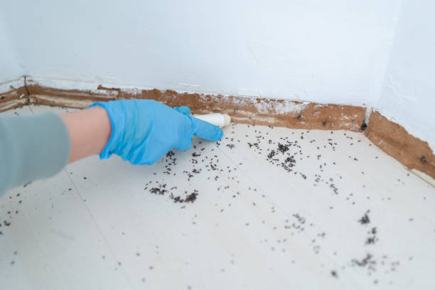 Best Residential Pest Control  in Gardner, MA